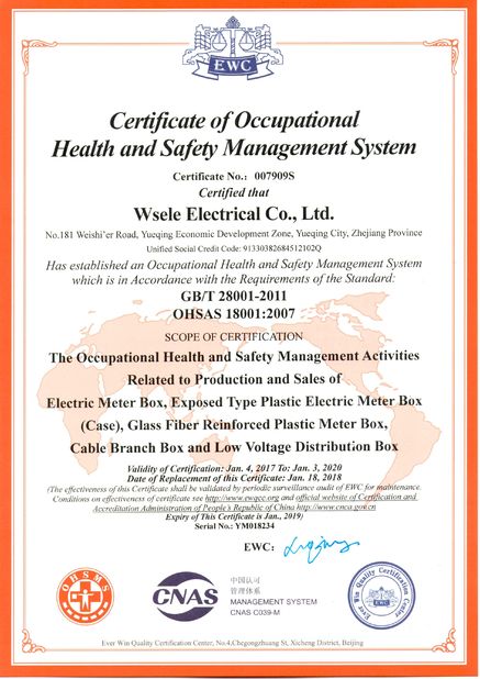 China WSELE ELECTRIC CO.,LTD. Certification